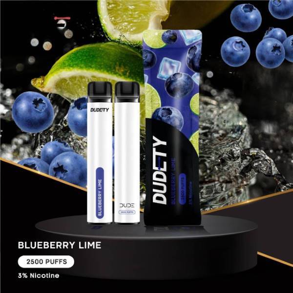 dudety 2500Puffs blueberry lime